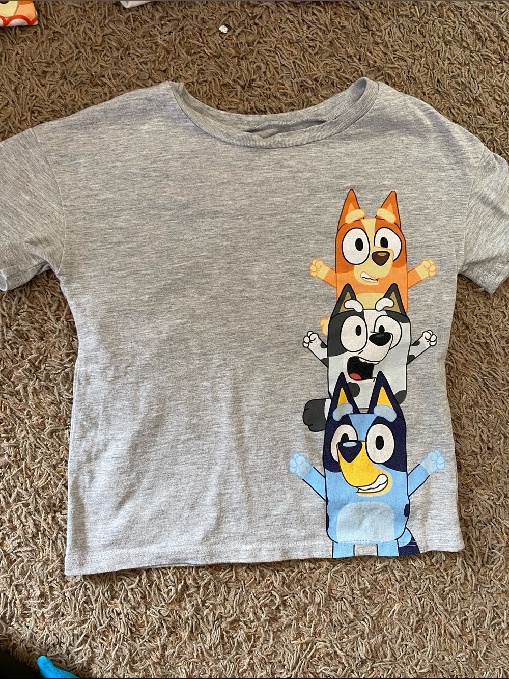 Kids Grey Bluey Graphic Tee - Grey/5